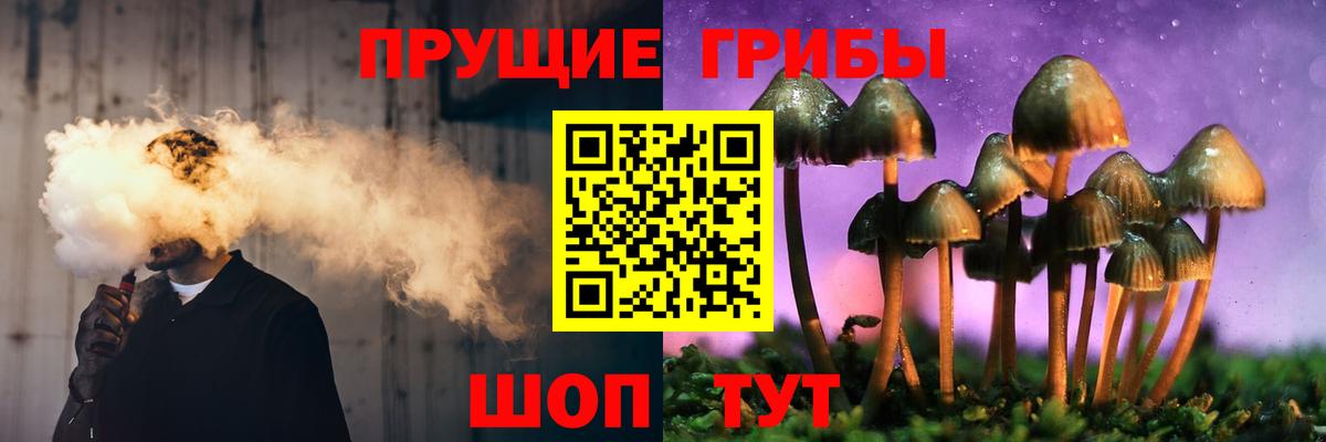 Кстово  Псилоцибиновые грибы Psilocybe  Вход с VPN  купить наркотики сайты  Галлюциногенные грибы Psilocybine cubensis 